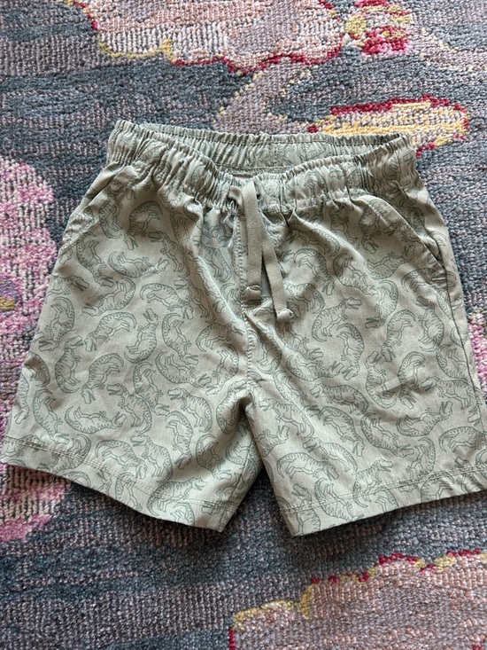 Novogratz Other - Kids Sage Green Dino-Print Pull-On Shorts